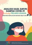 Analisis Hasil Dampak Covid-19 Terhadap Pelaku Usaha Provinsi Kepulauan Bangka Belitung #3